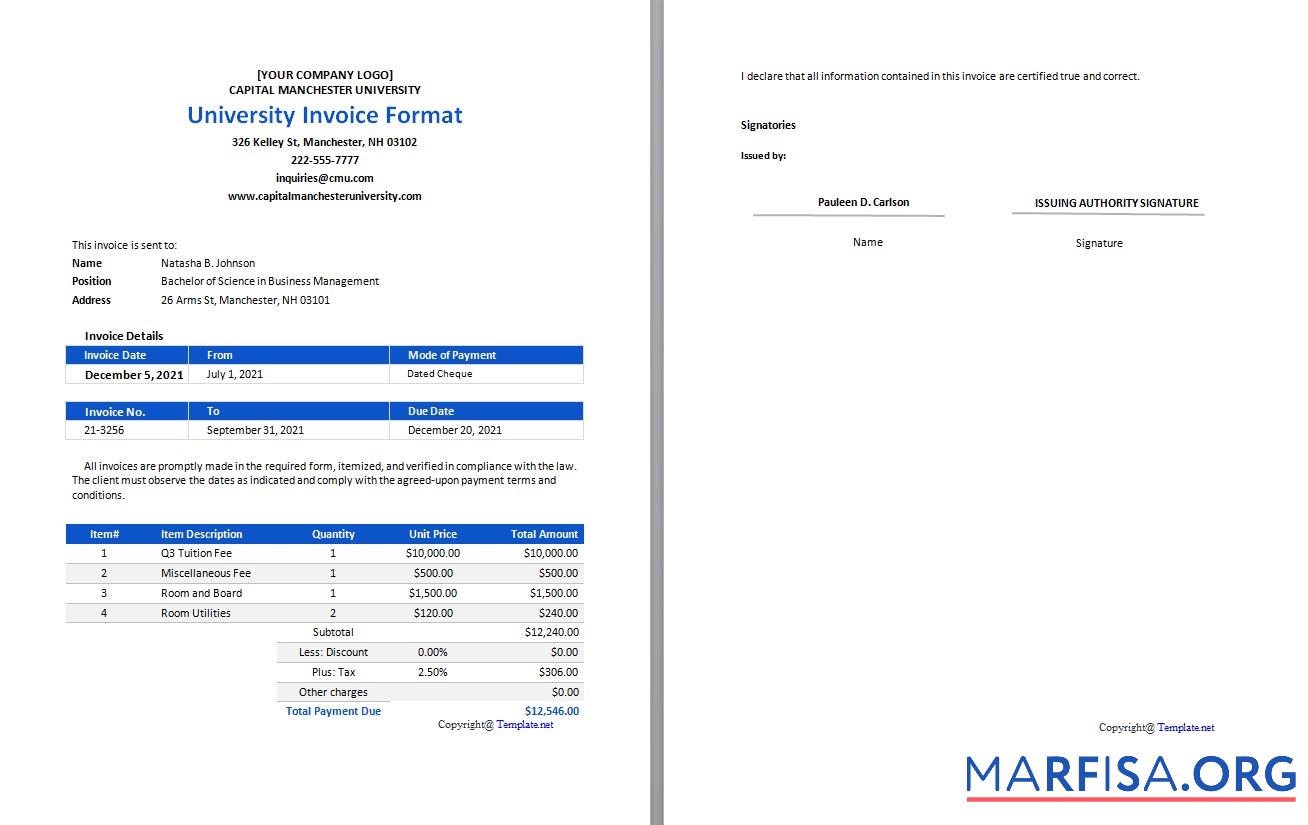 Downloadable Free University Invoice Format Template